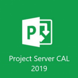 H21-03550 Microsoft Project Server 2019 CAL Open Licence