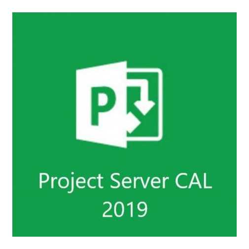 H21-03550 Microsoft Project Server 2019 CAL Open Licence
