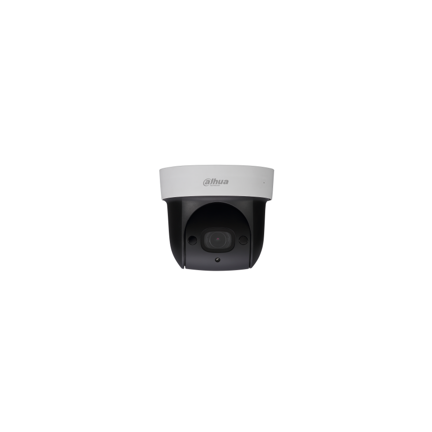 2MP 4x IR PTZ Network Camera (SD29204T-GN)